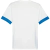 Puma teamGoal Matchday Jersey M 705747 12