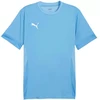 Puma teamGoal Matchday Jersey M 705747 18