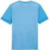 Puma teamGoal Matchday Jersey M 705747 18