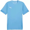 Puma teamGoal Matchday Jersey M 705747 18