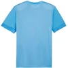 Puma teamGoal Matchday Jersey M 705747 18