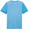 Puma teamGoal Matchday Jersey M 705747 18