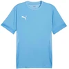 Puma teamGoal Matchday Jersey M 705747 18