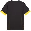 Puma teamGoal Matchday Jersey M 705747 26