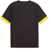Puma teamGoal Matchday Jersey M 705747 26