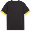 Puma teamGoal Matchday Jersey M 705747 26
