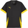 Puma teamGoal Matchday Jersey M 705747 26