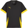 Puma teamGoal Matchday Jersey M 705747 26