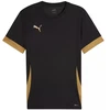 Puma teamGoal Matchday Jersey M 705747 28