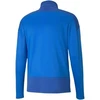 Puma TeamGoal treniruočių 1/4 užtrauktuko viršutinė dalis M 658629 02 džemperis