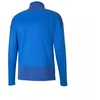 Puma TeamGoal treniruočių 1/4 užtrauktuko viršutinė dalis M 658629 02 džemperis