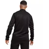 Puma TeamGoal treniruočių džemperis su 1/4 užtrauktuku M 658629 03 Puma