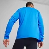 Puma TeamGoal Treniruočių striukė M 658633 02