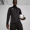 Puma TeamGoal Treniruočių striukė M 658633 03