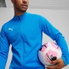 Puma TeamGoal Treniruočių striukė M 658633 02