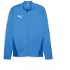 Puma TeamGoal Treniruočių striukė M 658633 02