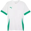 Puma teamGoal Varžybų marškinėliai vyriški balta-žalia 705747 15