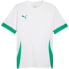Puma teamGoal Varžybų marškinėliai vyriški balta-žalia 705747 15