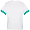 Puma teamGoal Varžybų marškinėliai vyriški balta-žalia 705747 15
