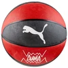Puma teamJAWS Krepšinis 84688 02