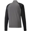 Puma teamLIGA 1/4 Zip Top M 657236 džemperis 13