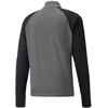 Puma teamLIGA 1/4 Zip Top M 657236 džemperis 13