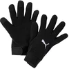 Puma teamLiga 21 Žieminės pirštinės M 041706-01