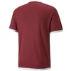 Puma teamLIGA Jersey M 704917 09