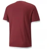 Puma teamLIGA Jersey M 704917 09