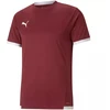 Puma teamLIGA Jersey M 704917 09