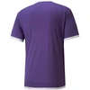 Puma teamLIGA Jersey M 704917 10