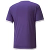 Puma teamLIGA Jersey M 704917 10