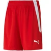 Puma teamLIGA Jr 704931 01 šortai