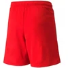 Puma teamLIGA Jr 704931 01 šortai