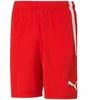 Puma teamLIGA M 704924 01 šortai
