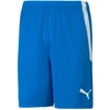 Puma teamLIGA M 704924 02 šortai