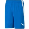 Puma teamLIGA M 704924 02 šortai