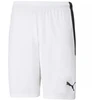 Puma teamLIGA M 704924 04 šortai