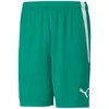 Puma teamLiga M 704924 05 šortai