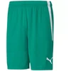 Puma teamLiga M 704924 05 šortai