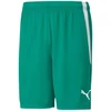 Puma teamLiga M 704924 05 šortai