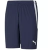 Puma teamLIGA M 704924 06 šortai
