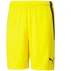 Puma teamLIGA M 704924 07 šortai