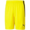 Puma teamLIGA M 704924 07 šortai