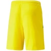 Puma teamLIGA M 704924 07 šortai