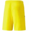 Puma teamLIGA M 704924 07 šortai