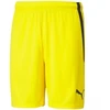Puma teamLIGA M 704924 07 šortai