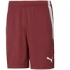 Puma teamLIGA M 704924 09 šortai
