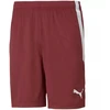 Puma teamLIGA M 704924 09 šortai