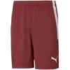 Puma teamLIGA M 704924 09 šortai